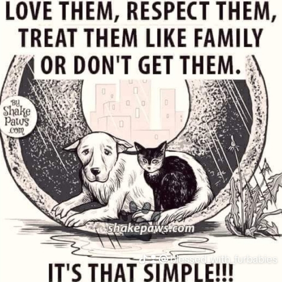 Meet your Poshers, Michael ๐ค And Dawn๐ - Picture 16 of 16